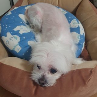 포비맘님이 올린 리뷰 사진 3