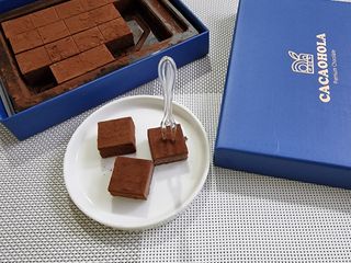연말/새해선물 요즘 트렌드 오트밀크 생초콜릿 호불호 없는 카카올라 Bast 밀크생초콜릿 — 5점을 준 리뷰어가 2021년 10월 올린 사용 사진