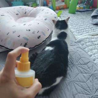 프랑프랑애드님이 올린 리뷰 사진 2