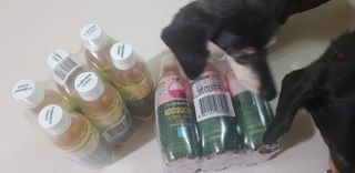 더그레잇티 콤부차 [매일유업] 더그레잇티 44kcal 콤부차 300ml *12개입 (오리지널 6개+베리리치 6개) — 4점을 준 리뷰어가 2023년 8월 올린 사용 사진