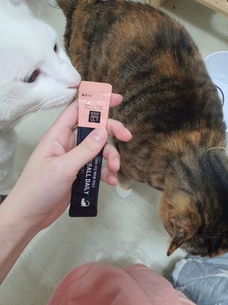 옒이님이 올린 리뷰 사진 3