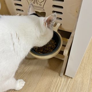 몽동이님이 올린 리뷰 사진 3