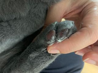 롬님이 올린 리뷰 사진 2