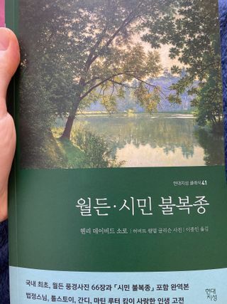 nadia02님이 올린 리뷰 사진 2