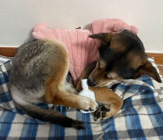 윤도랑님이 올린 리뷰 사진 2