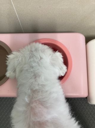 인절미인❣️님이 올린 리뷰 사진 4