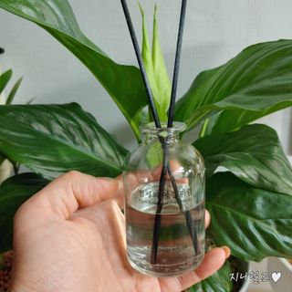 지니야님이 올린 리뷰 사진 4