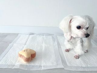 Florence님이 올린 리뷰 사진 1