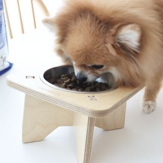 캐닌캐비어 알카라인 홀리스틱 그레이프리 앙뜨레 ALS_4종 오픈스카이, 와일드오션, 프리스피릿, 스페셜니즈 — 5점을 준 리뷰어가 2023년 2월 올린 사용 사진