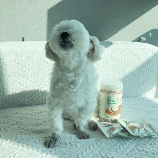 [펫시밀] 원물그대로 영양듬뿍 진공동결건조 북어트릿75g,치킨트릿100g,연어트릿75g 강아지 고양이 간식 — 5점을 준 리뷰어가 2023년 5월 올린 사용 사진