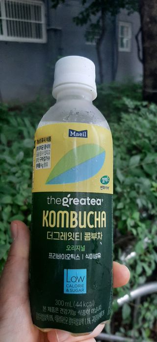 더그레잇티 콤부차 [매일유업] 더그레잇티 44kcal 콤부차 300ml *12개입 (오리지널 6개+베리리치 6개) — 5점을 준 리뷰어가 2023년 7월 올린 사용 사진