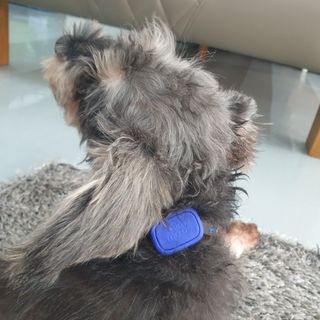 아띠님이 올린 리뷰 사진 3