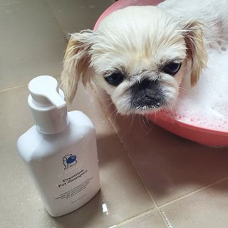 환희님이 올린 리뷰 사진 4