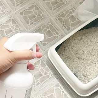 서벙님이 올린 리뷰 사진 2