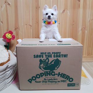 떠뇽님이 올린 리뷰 사진 3