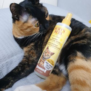 floria님이 올린 리뷰 사진 3
