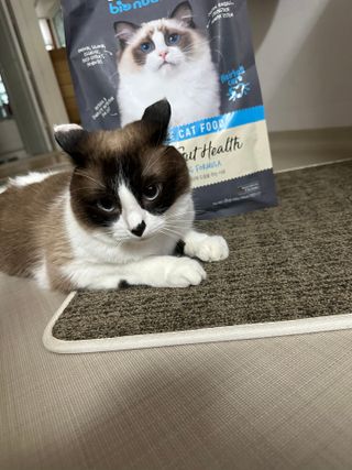 예지님이 올린 리뷰 사진 3