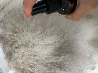 나니누네노님이 올린 리뷰 사진 3