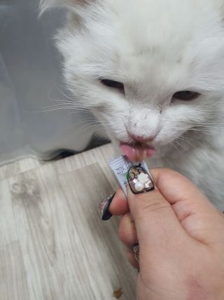 씨고님이 올린 리뷰 사진 1