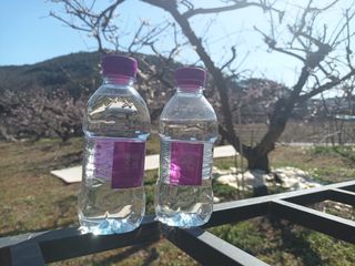 몽베스트 [MONTBEST] 330mL 20병 — 5점을 준 리뷰어가 2024년 3월 올린 사용 사진