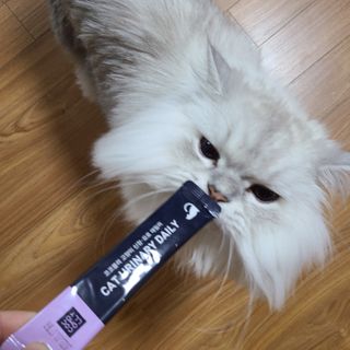 코코몰리 고양이 구강• 헤어볼 데일리 /신장• 요로 데일리 — 5점을 준 리뷰어가 2021년 1월 올린 사용 사진