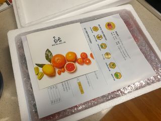 옳음 딸기 논산 설향 딸기 900g 산지직송 — 5점을 준 리뷰어가 2021년 1월 올린 사용 사진