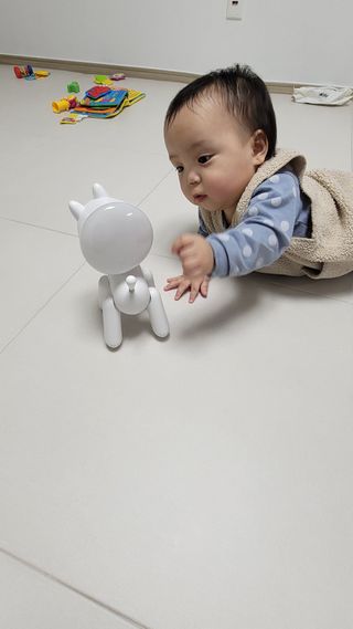 블링데코님이 올린 리뷰 사진 3