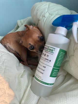 동글눈썹뚜두비님이 올린 리뷰 사진 2