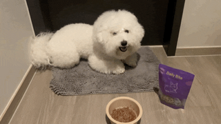 정민트님이 올린 리뷰 사진 1