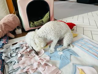 도우너님이 올린 리뷰 사진 3