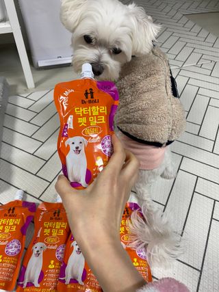댕댕이님이 올린 리뷰 사진 3