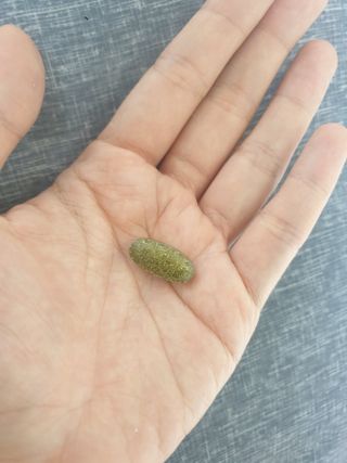 쪼로리님이 올린 리뷰 사진 3