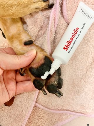 [자유펫] 시코니딘 고양이 강아지 피부 보습 연고 20g — 4점을 준 리뷰어가 2021년 11월 올린 사용 사진