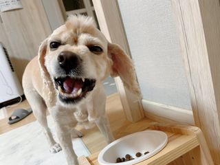 꺼꾸리님이 올린 리뷰 사진 3