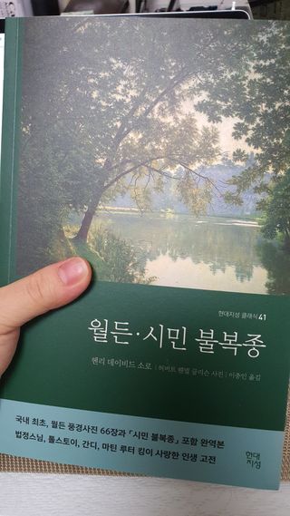 레나초이님이 올린 리뷰 사진 1