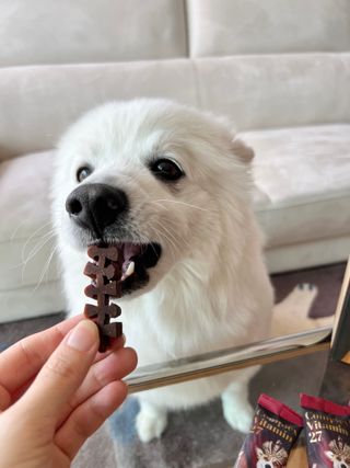 오로라님이 올린 리뷰 사진 2