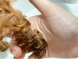 연이님이 올린 리뷰 사진 3
