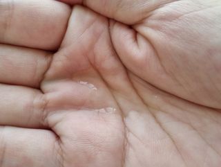 bibi님이 올린 리뷰 사진 3