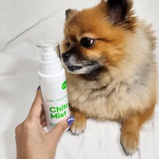 whol 키토미스트 150ml + 실리콘바디브러쉬  강아지 고양이 항균항바이러스, 강력탈취 피부 보습,무향 — 5점을 준 리뷰어가 2022년 9월 올린 사용 사진