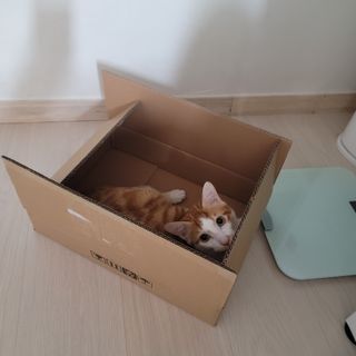 쓔리님이 올린 리뷰 사진 3