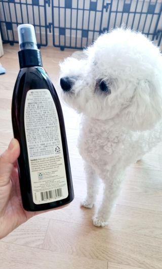 아공별이님이 올린 리뷰 사진 2