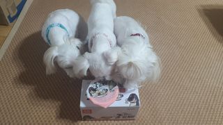 공팔리터님이 올린 리뷰 사진 3