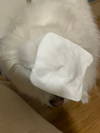 디어엘로디 프리미엄 유기농 유아 솜티슈 60매  2 + 1 PACK — 5점을 준 리뷰어가 2021년 3월 올린 사용 사진