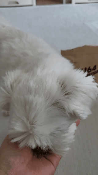 뽀오오옹님이 올린 리뷰 사진 4