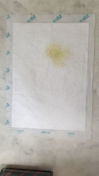아베크 펫 와이드 프리미엄 중형 애견 강아지 배변 패드 54매 1팩 45g — 5점을 준 리뷰어가 2021년 7월 올린 사용 사진