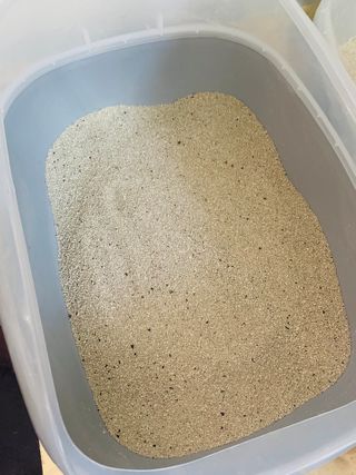 겟플렉스 켓플렉스 캣츠룸BS-1 고양이모래 4kg — 3점을 준 리뷰어가 2021년 1월 올린 사용 사진