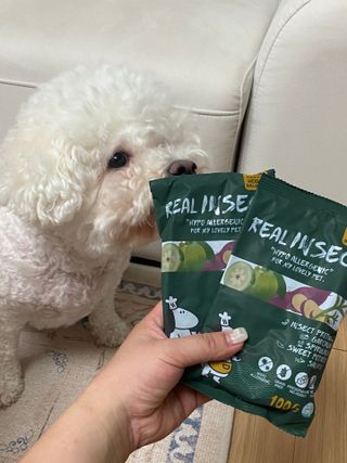 [푸디웜] 라포그  리얼인섹트 웨이트밸런스 저알러지 강아지 사료  1.2KG — 5점을 준 리뷰어가 2022년 7월 올린 사용 사진