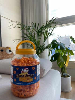 성광님이 올린 리뷰 사진 1
