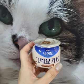 매일바이오 그릭요거트 오리지널 플레인 4개, 로스터리 커피믹스 4개 — 5점을 준 리뷰어가 2021년 12월 올린 사용 사진