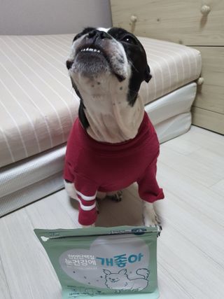 My Pet Care 천연단백질 눈건강에 개좋아 — 5점을 준 리뷰어가 2021년 2월 올린 사용 사진